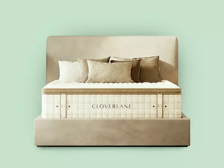 Cloverlane Foam Plush