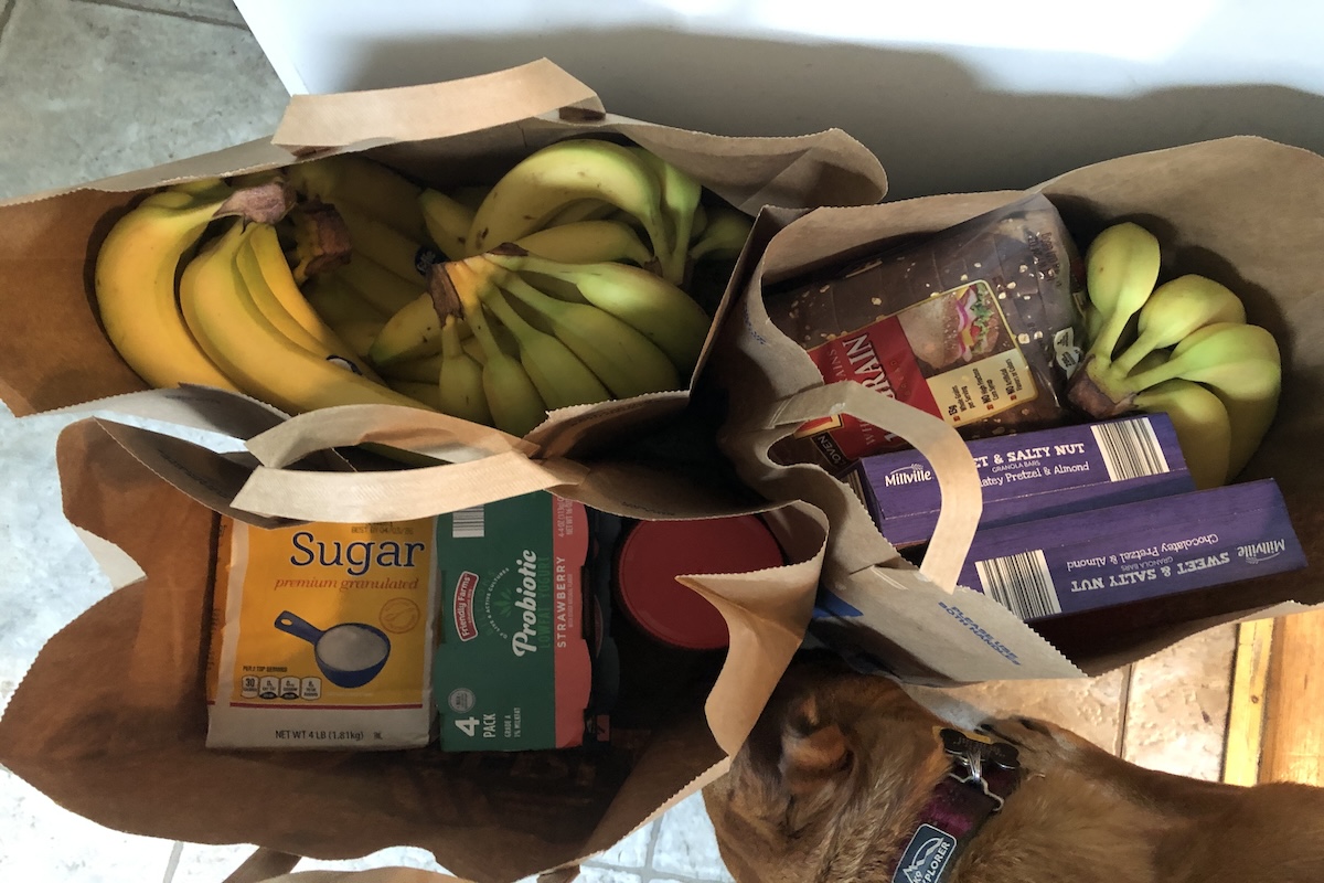 Three brown paper grocery bags with sugar, bread, and six bunches of bananas.