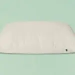 Birch Organic Pillow