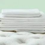 Saatva Percale Sheet Set