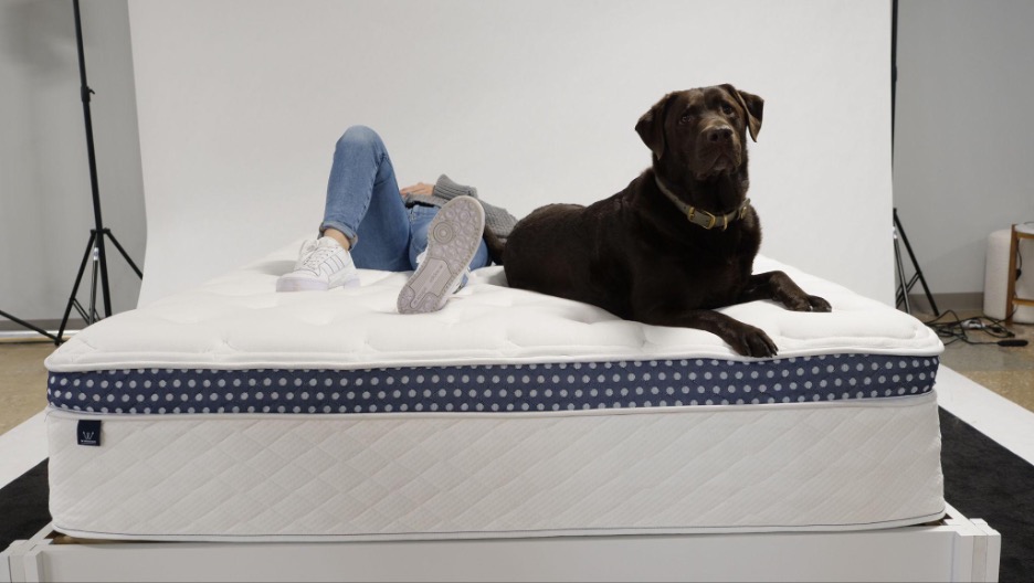 A woman lies on The WinkBed softer model with a brown dog beside her. 